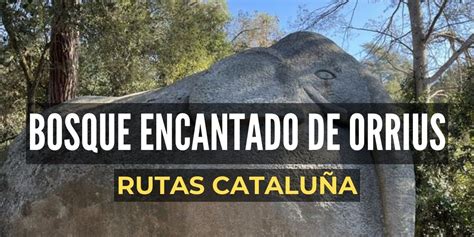 bosque encantado barcelona|Excursión al Bosque Encantado de Orrius 